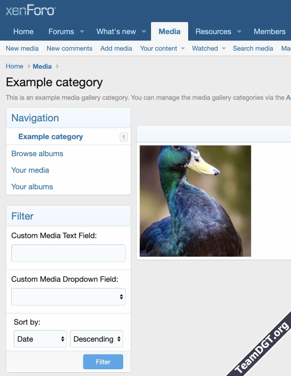Filter Media Fields-1.webp