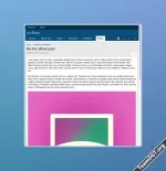 4.webp