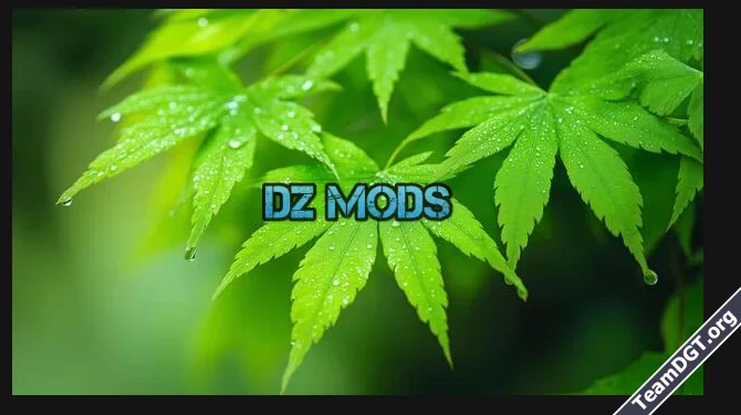 DZ ImageShield-2.webp