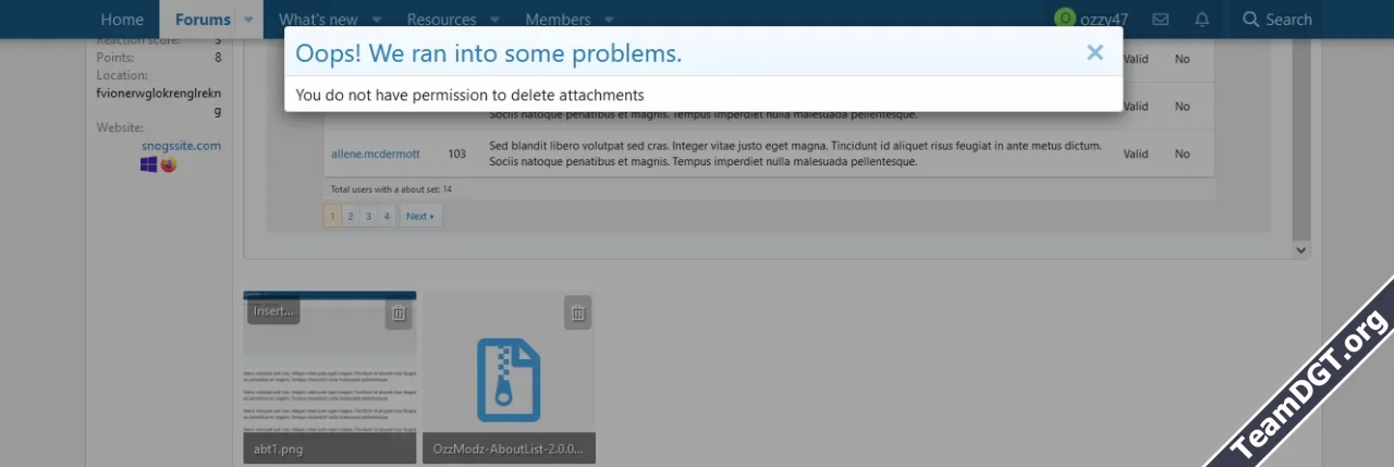OzzModz Delete Attachments Permissions-1.webp