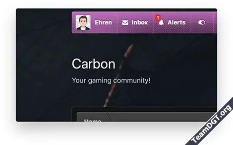 XenFocus Carbon-13.webp