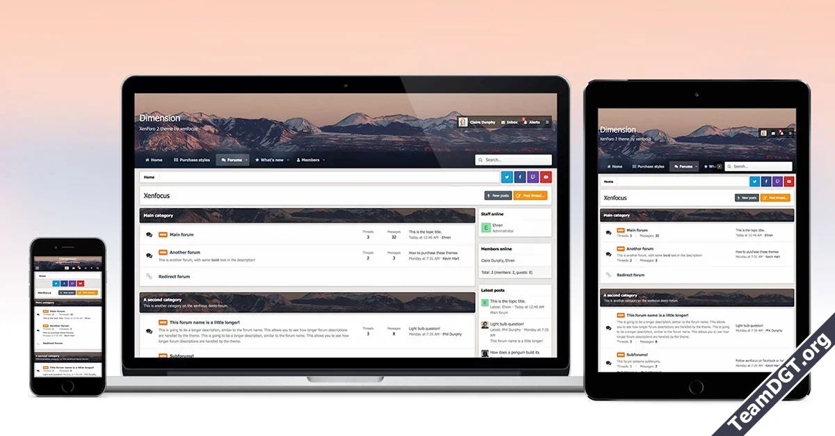 XenFocus Dimension-1.webp
