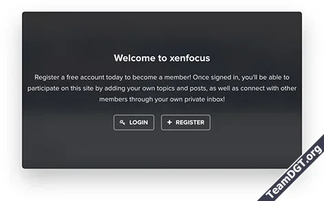 XenFocus Dimension-12.webp