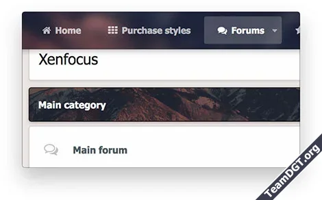 XenFocus Dimension-3.webp