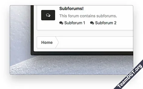 XenFocus Uniform-14.webp