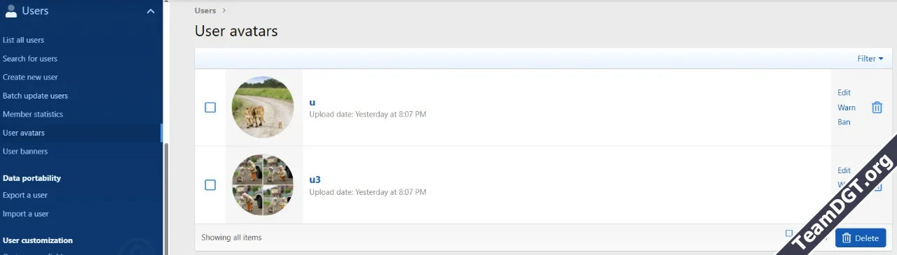 XFCoder User Avatar and Banner Lists-1.webp