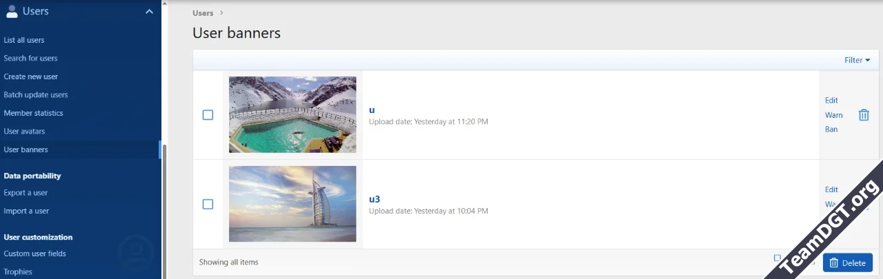 XFCoder User Avatar and Banner Lists-2.webp